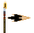 Fire de Shoto Bc Laranja PLS T2