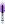 Visual empunhado de Ashoka Bc purple SLS T1