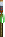 Visual empunhado de Shoto Verde PLS T1