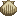 Ícone de inventário de Escudo de Concha