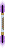Visual empunhado de Templo G Bc roxo DLS T3