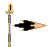Fire de Cruzador Bc Laranja PLS T1