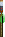 Visual empunhado de Shoto Bc Verde PLS T2