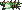 Visual empunhado de Repetidor Dimensional