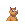 Pyg (male)