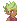 Terrakin (female)