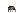 Visual de krawlcritter