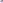 Visual de Abelha das Flores