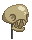 Visual montado de Crânio de Ixodoom