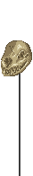Visual montado de Caveira de Vampiradon