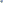 Visual de Abelha Rasga-Solo