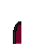 Capa Noite Florescente vestido (male)