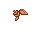 Floran 29 vestido (male)