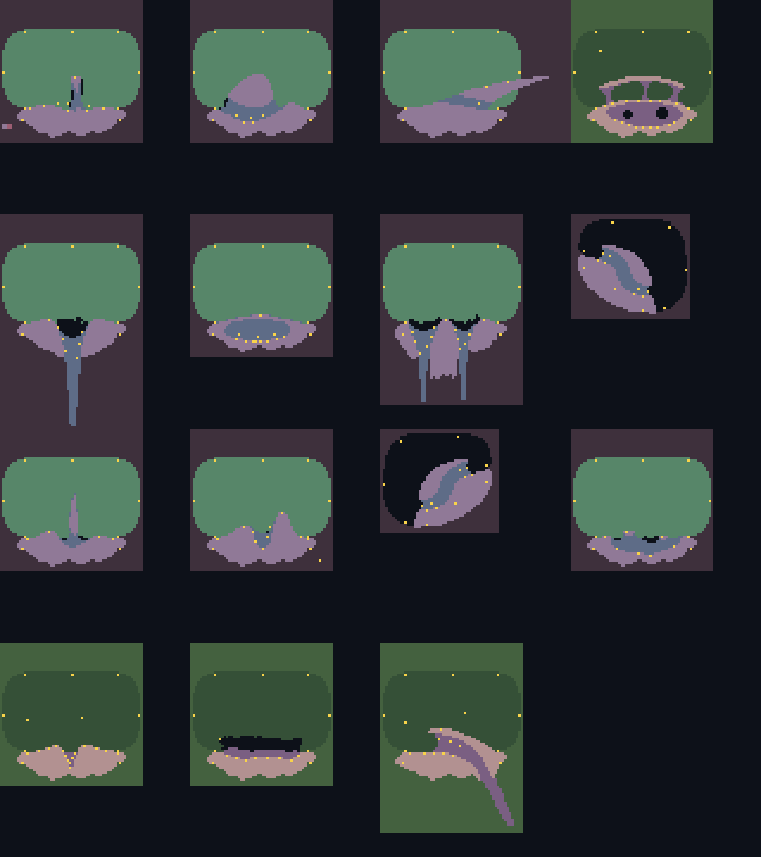 Mapa de fleshmicrodungeons