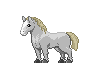Visual de Cavalo