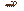 Visual de Barata