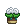 Visual de Cottonbop