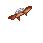Floran 45 vestido (male)
