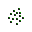 Visual de Pequeno Enxame de Abelhas Caçadoras de Cabeças