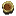 Ícone de Bloco de Coco