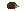 Visual de hedgehogcritter