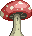 Visual colocado de Cogumelo Agaran Gigante