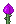 Ícone de inventário de Tulipa Roxa