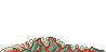 Visual colocado de Carcaça de Dinossauro