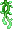 Visual colocado de Videira Brilhante