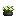 Visual colocado de Planta Lírio Branco