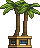 Visual colocado de Planta de Palma