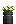 Visual colocado de Planta de Lírio Branco