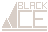 Visual colocado de Logotipo Black Ice