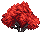 Visual colocado de Arbusto Vermelho