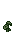 Visual colocado de Semente de Avesmingo