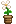 Visual colocado de Pote de Flor Giratória