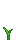 Visual colocado de Semente de Milho