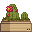 Visual colocado de Planta Decorativa Avikan