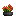 Visual colocado de Planta Lírio Vermelho