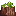 Visual colocado de Flores de Toco