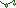 Visual colocado de Luzes de Fadas Verdes