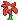 Visual colocado de Flor Gigante