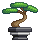 Visual colocado de Árvore Bonsai