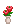 Visual colocado de Pote de Lírios de Calla