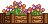 Visual colocado de Canteiro de Flores