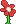 Visual colocado de Flor Gigante