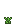 Visual colocado de Semente de Cranpod