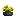 Visual colocado de Planta Lírio Amarelo