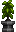 Visual colocado de Planta Tropical Alta
