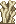 Visual colocado de Pilha de Ossos